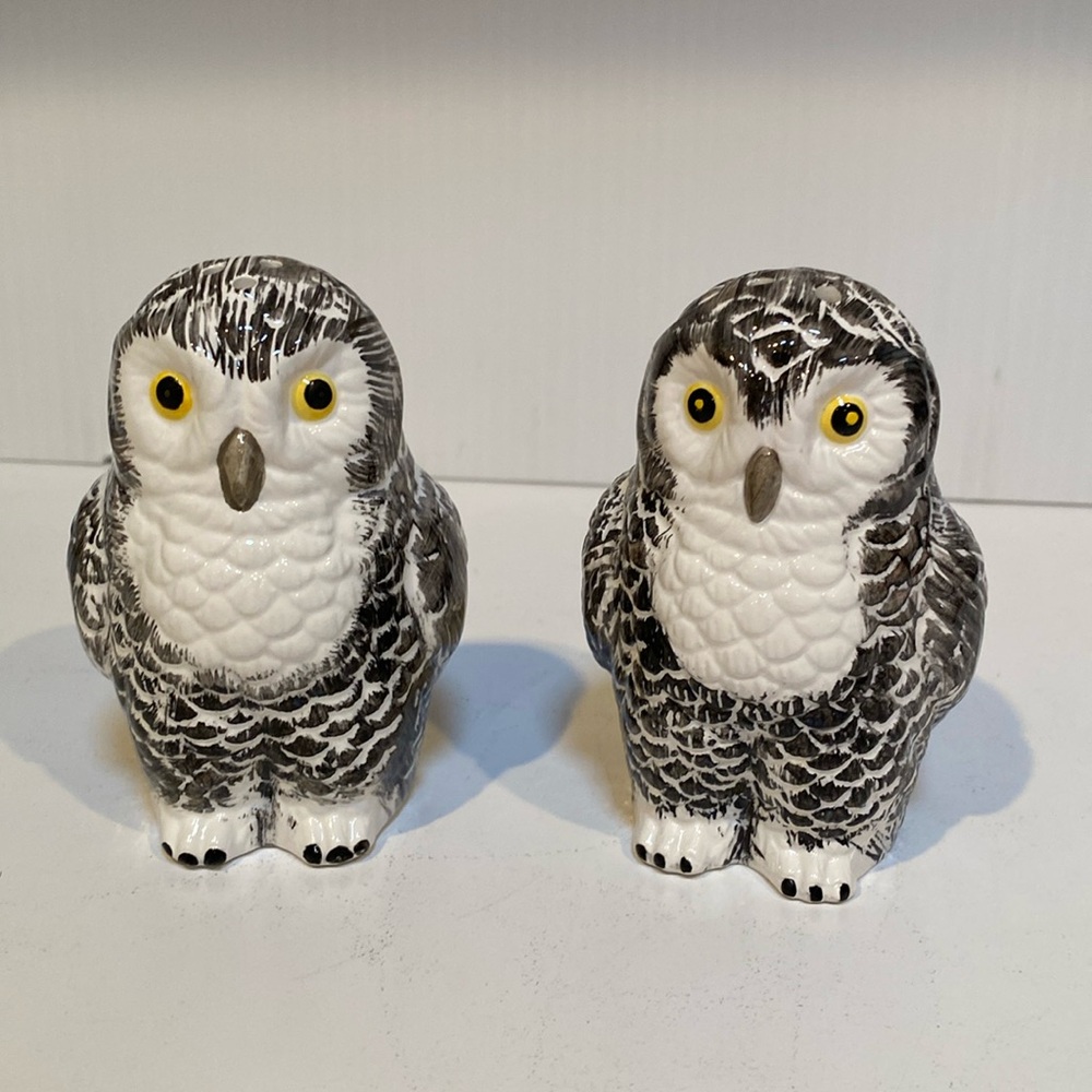 Owl salt and pepper shakers